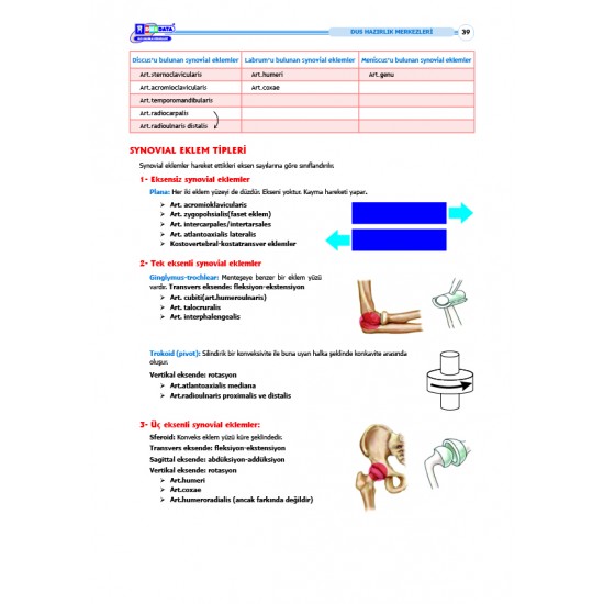 DUS Şampiyonların Notu ( 17.Baskı ) Anatomi / MUTLU  ÖZBEK