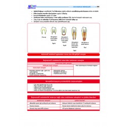 DUS Şampiyonların Notu ( 17.Baskı ) Endodonti