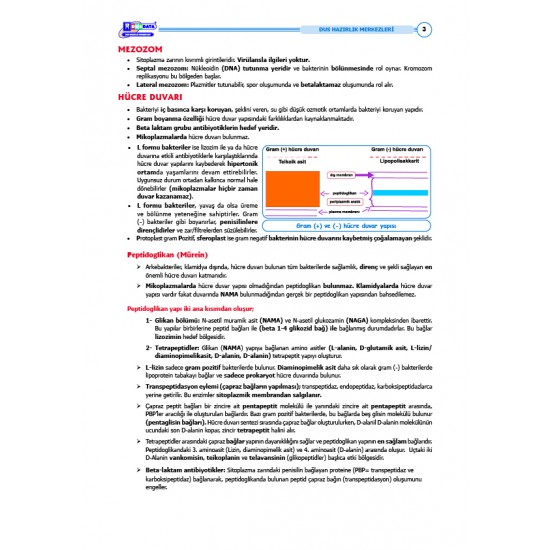 DUS Şampiyonların Notu ( 17.Baskı ) Mikrobiyoloji