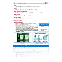 DUS Şampiyonların Notu ( 17.Baskı ) Mikrobiyoloji