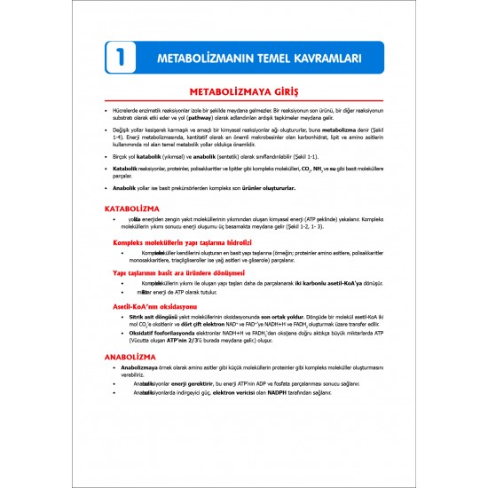 TUS Şampiyonların Notu ( 23.Baskı ) Biyokimya