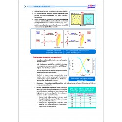 TUS Şampiyonların Notu ( 23.Baskı ) Farmakoloji