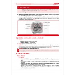 TUS Şampiyonların Notu ( 23.Baskı ) Kadın Doğum