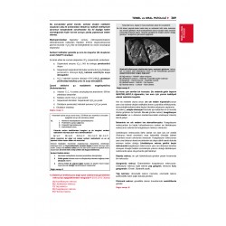 Dusdatamax Tüm Dus Soruları 1+2 ( 3.Baskı ) 2.Cilt