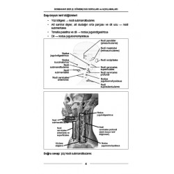 DUS SORULARI - ÖSYM'nin Orijinal Sonbahar 2025