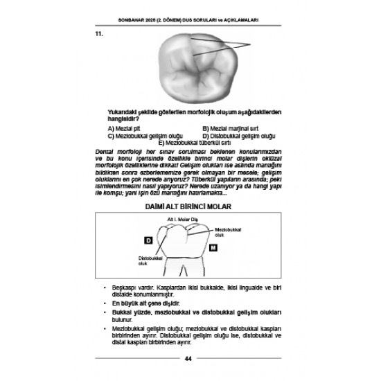 DUS SORULARI - ÖSYM'nin Orijinal sonbahar 2025 DUS SORULARI - ÖSYM'nin Orijinal sonbahar 2025