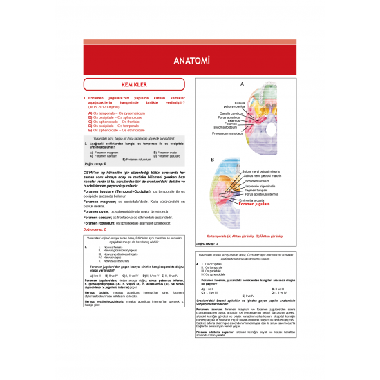 Dusdatamax Tüm Dus Soruları 1+2 ( 4.Baskı ) 1.Cilt Dusdatamax Tüm Dus Soruları 1+2 ( 4.Baskı ) 1.Cilt