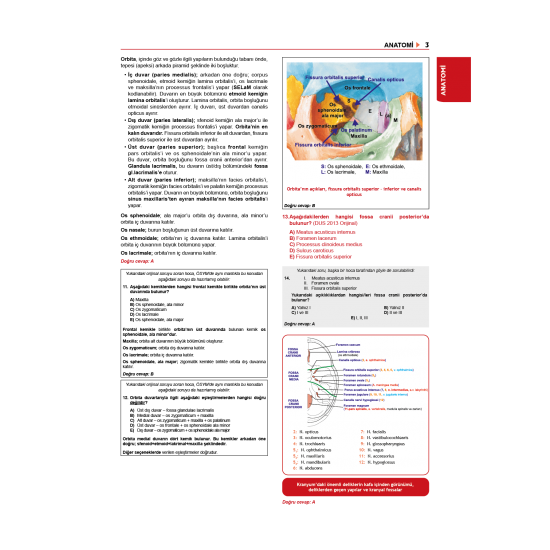 Dusdatamax Tüm Dus Soruları 1+2 ( 4.Baskı ) 1.Cilt Dusdatamax Tüm Dus Soruları 1+2 ( 4.Baskı ) 1.Cilt