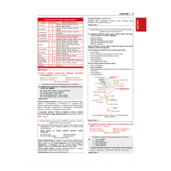 Dusdatamax Tüm Dus Soruları 1+2 ( 4.Baskı ) 1.Cilt