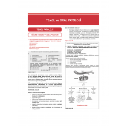 Dusdatamax Tüm Dus Soruları 1+2 ( 4.Baskı ) 2.Cilt