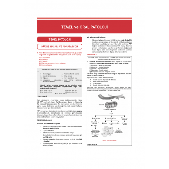 Dusdatamax Tüm Dus Soruları 1+2 ( 4.Baskı ) 2.Cilt Dusdatamax Tüm Dus Soruları 1+2 ( 4.Baskı ) 2.Cilt