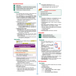 SPEETUS Kampı Dahiliye ( 4.Baskı )