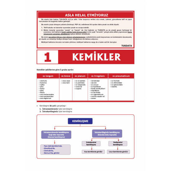 2022 - TUS Şampiyonların Notu ANATOMİ / Erdinç 2022 - TUS Şampiyonların Notu ANATOMİ / Erdinç