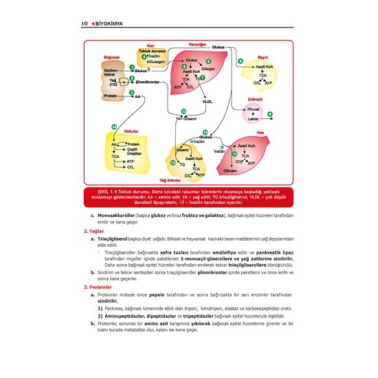 ProspekTUS Konu BİYOKİMYA ( 5.Baskı ) ProspekTUS Konu BİYOKİMYA ( 5.Baskı )