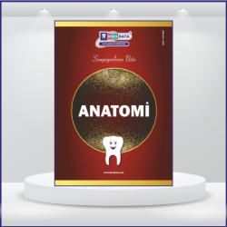 2023 - DUS Şampiyonların Notu - Anatomi