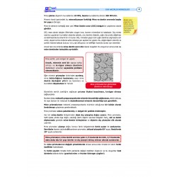 2023 - DUS Şampiyonların Notu - Restoratif Diş Tedavisi