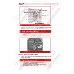 2023 - TUS Şampiyonların Notu KADIN DOĞUM