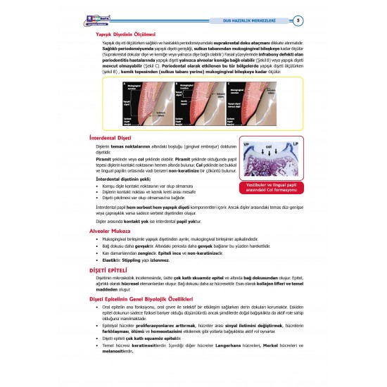 DUS Şampiyonların Notu - Periodontoloji ( 2025 )