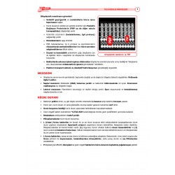2025 - TUS Şampiyonların Notu Mikrobiyoloji / 22.Baskı