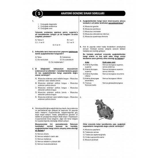 24 Açıklamalı Deneme Serisi - Anatomi