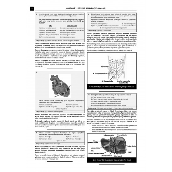 24 Açıklamalı Deneme Serisi - Anatomi