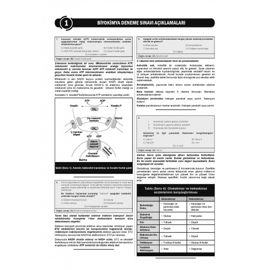 24 Açıklamalı Deneme Serisi - Biyokimya