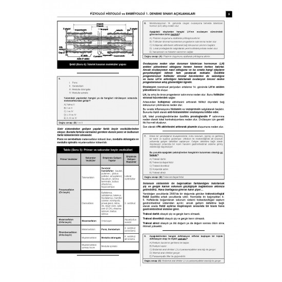 24 Açıklamalı Deneme Serisi - Fizyoloji