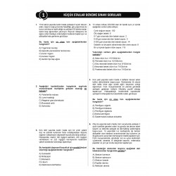 24 Açıklamalı Deneme Serisi 2.Baskı - Küçük Stajlar