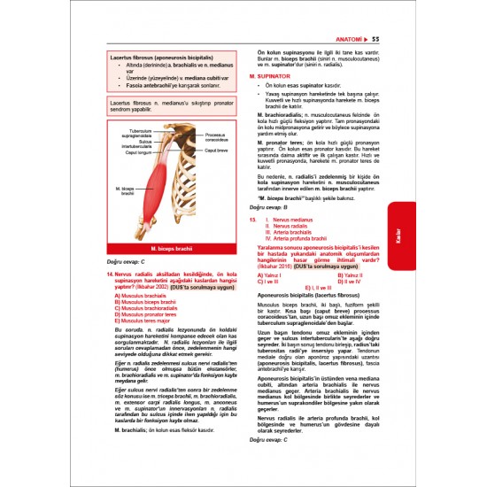 Tüm TUS Soruları ( 36.Baskı ) Anatomi Tüm TUS Soruları ( 36.Baskı ) Anatomi