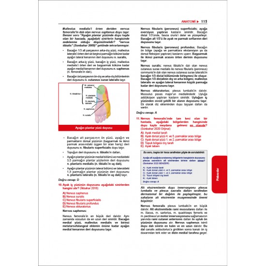 Tüm TUS Soruları ( 36.Baskı ) Anatomi Tüm TUS Soruları ( 36.Baskı ) Anatomi