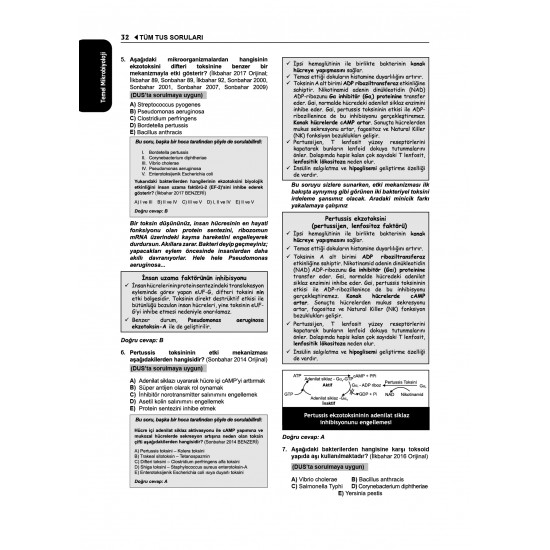 Tüm TUS Soruları ( 36.Baskı ) Mikrobiyoloji