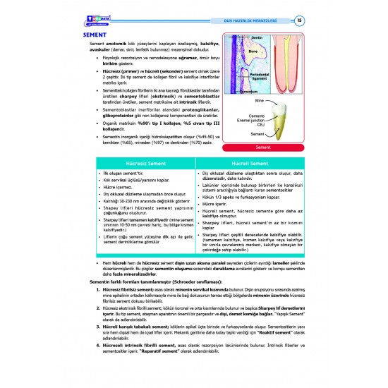 DUS Şampiyonların Notu ( 17.Baskı ) Periodontoloji DUS Şampiyonların Notu ( 17.Baskı ) Periodontoloji