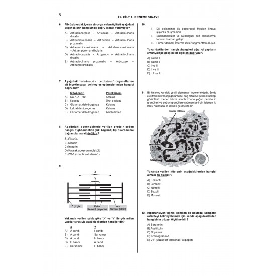 Denttest Deneme Sınavları / 11.Cilt Denttest Deneme Sınavları / 11.Cilt