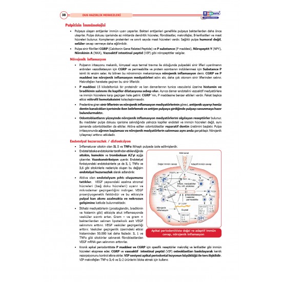DUS Şampiyonların Notu ( 16.Baskı ) Endodonti DUS Şampiyonların Notu ( 16.Baskı ) Endodonti