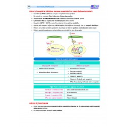 DUS Şampiyonların Notu ( 16.Baskı ) Farmakoloji