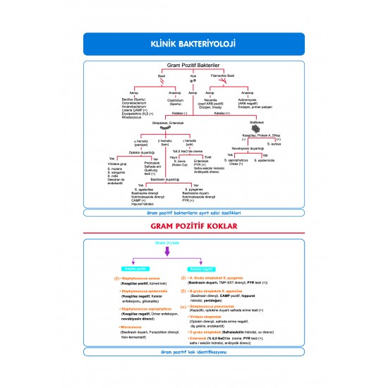 DUS Şampiyonların Notu ( 16.Baskı ) Mikrobiyoloji DUS Şampiyonların Notu ( 16.Baskı ) Mikrobiyoloji