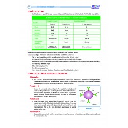 DUS Şampiyonların Notu ( 16.Baskı ) Mikrobiyoloji