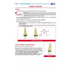 DUS Şampiyonların Notu ( 16.Baskı ) Ortodonti