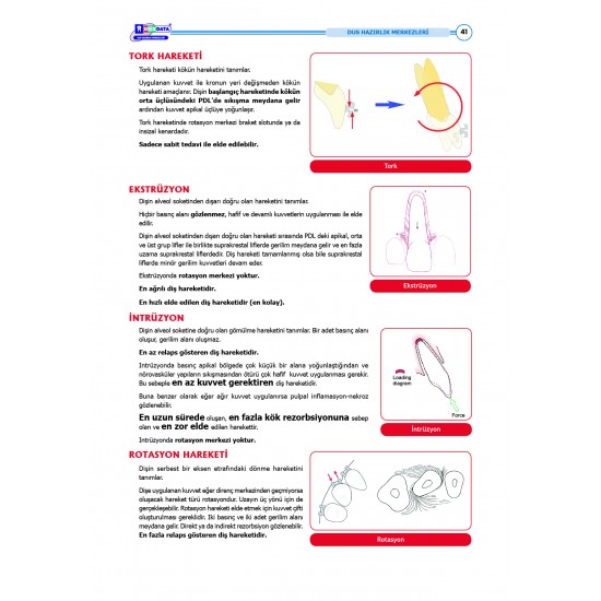 DUS Şampiyonların Notu ( 16.Baskı ) Ortodonti DUS Şampiyonların Notu ( 16.Baskı ) Ortodonti