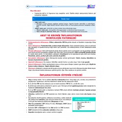 DUS Şampiyonların Notu ( 16.Baskı ) Patoloji