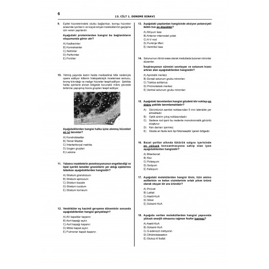 Denttest Deneme Sınavları / 13.Cilt