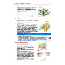 Data - Komite Fizyoloji ( 2.Baskı )