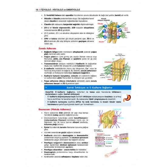 Data - Komite Fizyoloji ( 2.Baskı ) Data - Komite Fizyoloji ( 2.Baskı )