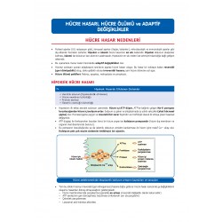 Data - Komite Patoloji ( 5.Baskı )