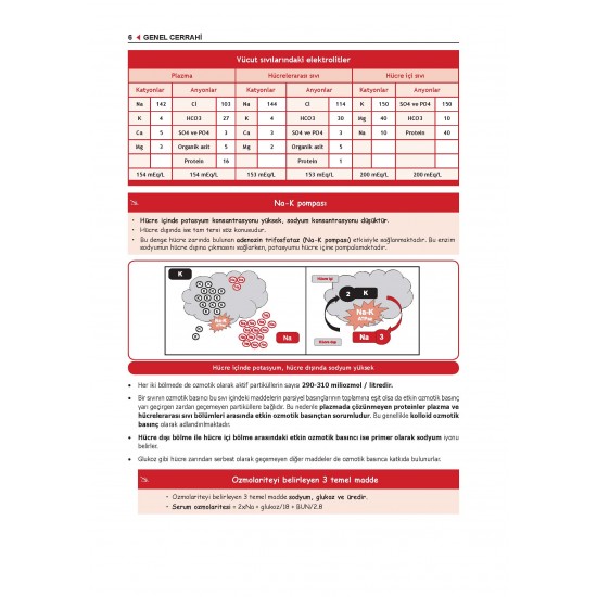 Data - Staj Genel Cerrahi ( 9.Baskı ) Data - Staj Genel Cerrahi ( 9.Baskı )