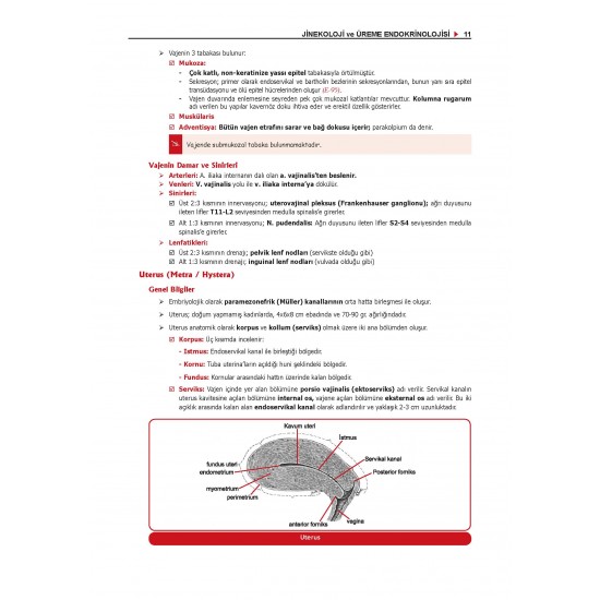 Data - Staj Kadın Doğum ( 12.Baskı )