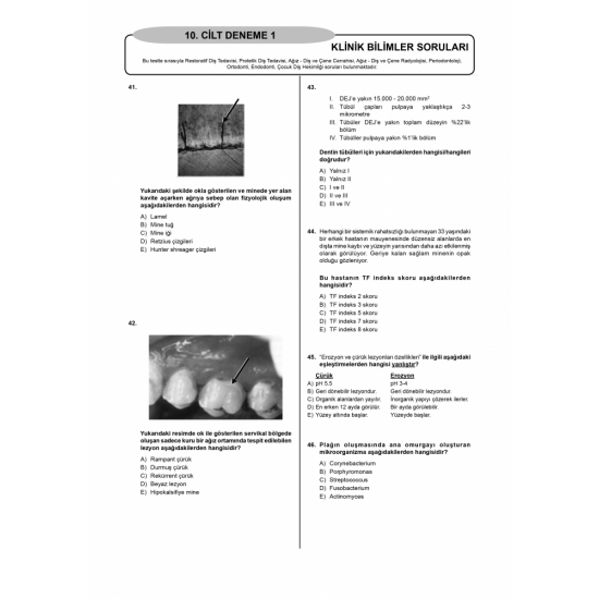 Denttest Deneme Sınavları / 10.Cilt Denttest Deneme Sınavları / 10.Cilt