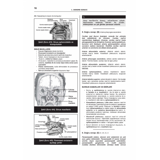 DENTTEST DUS İÇİN AÇIKLAMALI 12 DNM.SNV ( 5.CİLT ) DENTTEST DUS İÇİN AÇIKLAMALI 12 DNM.SNV ( 5.CİLT )