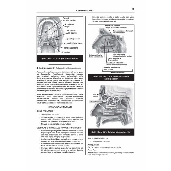 DENTTEST DUS İÇİN AÇIKLAMALI 12 DNM.SNV ( 5.CİLT ) DENTTEST DUS İÇİN AÇIKLAMALI 12 DNM.SNV ( 5.CİLT )
