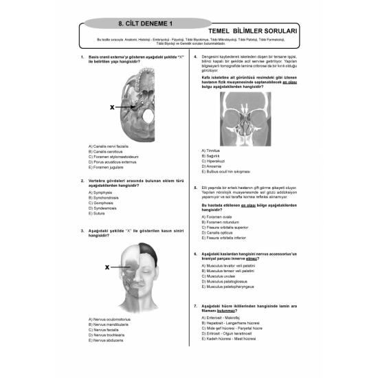 DENTTEST DUS İÇİN AÇIKLAMALI 12 DNM.SNV ( 8.Cilt ) DENTTEST DUS İÇİN AÇIKLAMALI 12 DNM.SNV ( 8.Cilt )